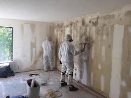 Mold Odor Removal Services in Philmont, NY